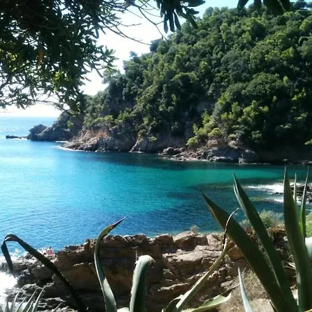 Appartement Comfortable Apartment, 5 Minutes From The Beach, 7 Km From Saint Tropez! *