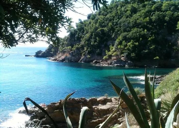 Appartement Comfortable Apartment, 5 Minutes From The Beach, 7 Km From Saint Tropez! *